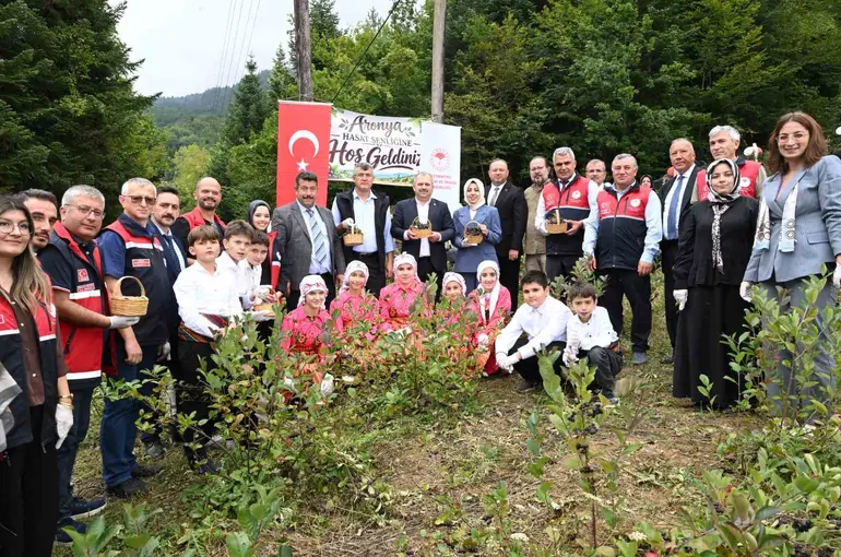 Kastamonu’da aronya hasadı başladı
