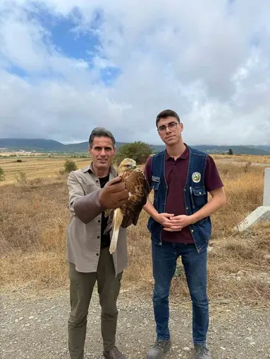 Kastamonu’da yaralı halde bulunan şahin tedavi altına alındı
