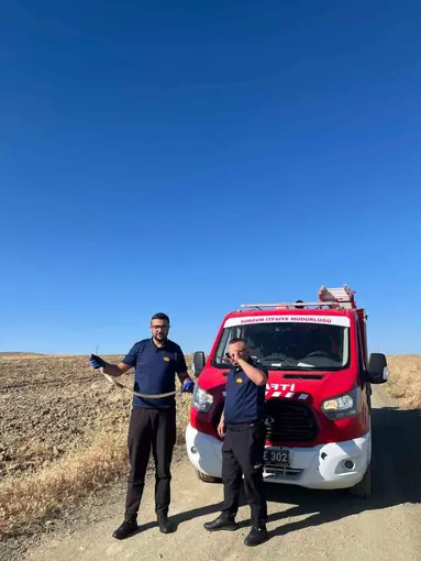 Kaymakamlık bahçesinde bulunan yılan doğaya bırakıldı

