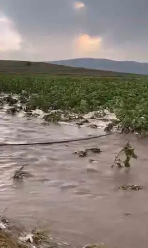Kayseri’de tarım arazileri sular altında kaldı
