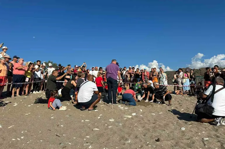 Kemer’de son caretta caretta yuvası açıldı
