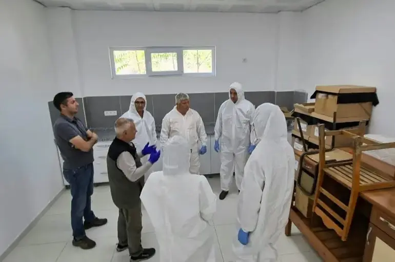 Kestane gal arısına karşı biyolojik mücadele güçlendiriliyor
