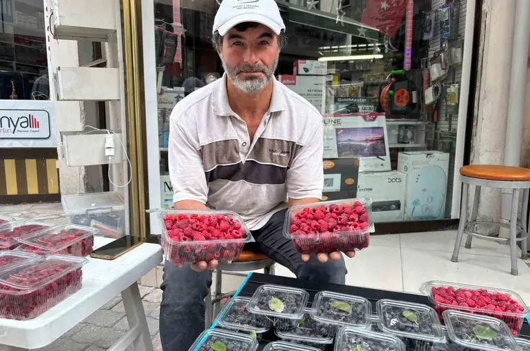 Kıraç arazileri aronya ve ahududugil yetiştirerek değerlendirdi
