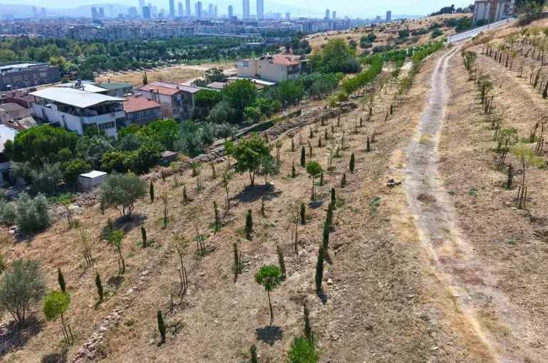 Kıraç topraklarda yeşil dönüşüm
