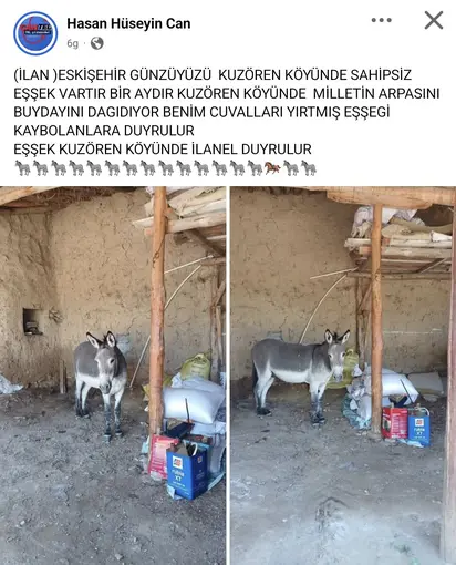 Kırsal mahalledeki başıboş eşek merak konusu
