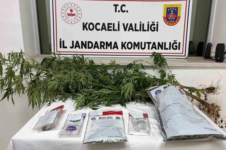 Kocaeli’de 1 kilo esrar ele geçirildi

