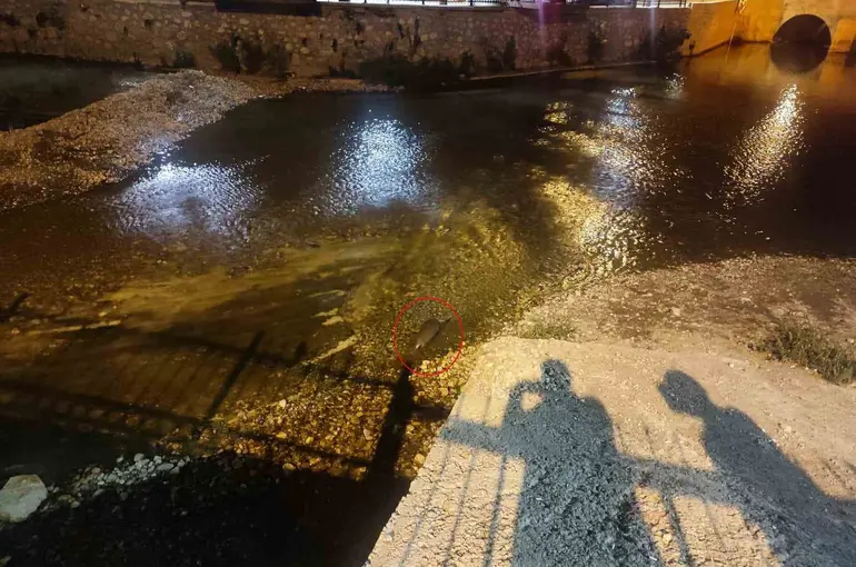 Konya’da su samuru sürprizi
