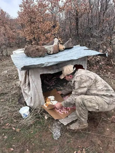 Köy yoluna bırakılan yavru köpeklere jandarmandan şefkat eli
