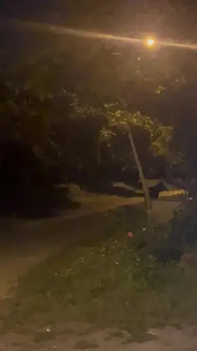 Köye inen ayı köylülere heyecan ve korku yaşattı
