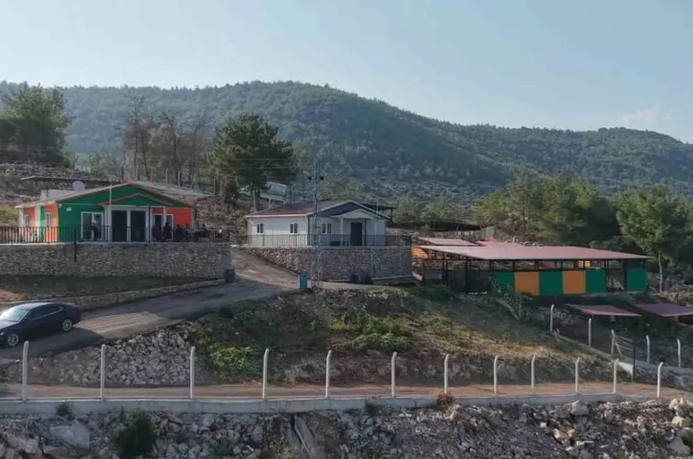 Kozan’da hedef sıfır sahipsiz sokak hayvanı
