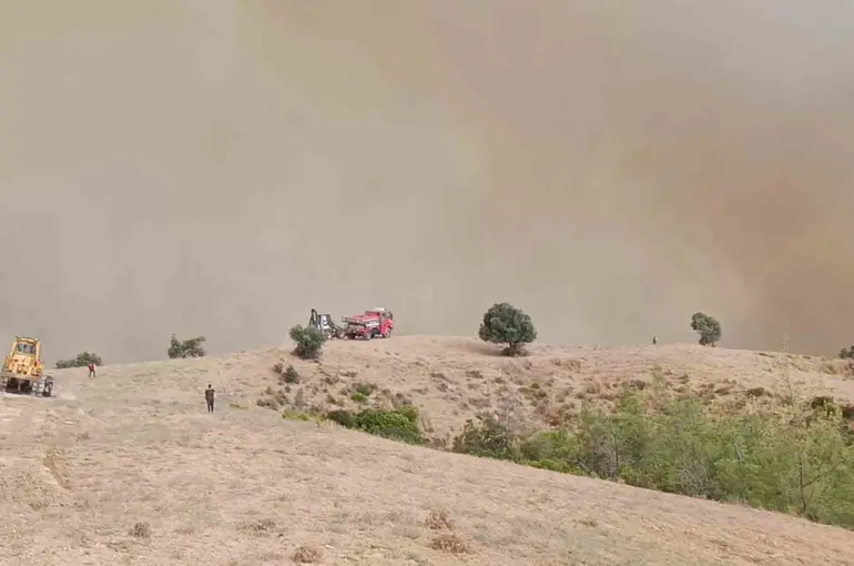 Kozan’da orman yangını: 5 helikopter, 2 uçakla mücadele sürüyor
