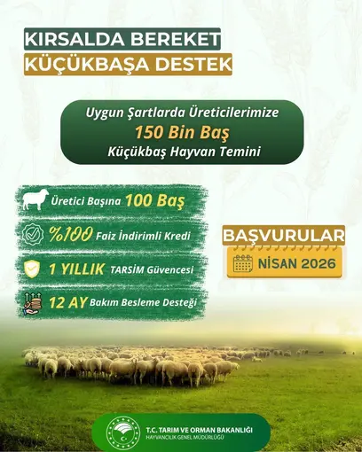 Küçükbaş üreticilerine "Kırsalda Bereket" projesi başlıyor
