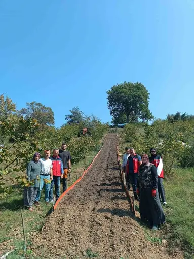 Kumluca’da Salep dikimi gerçekleştirildi
