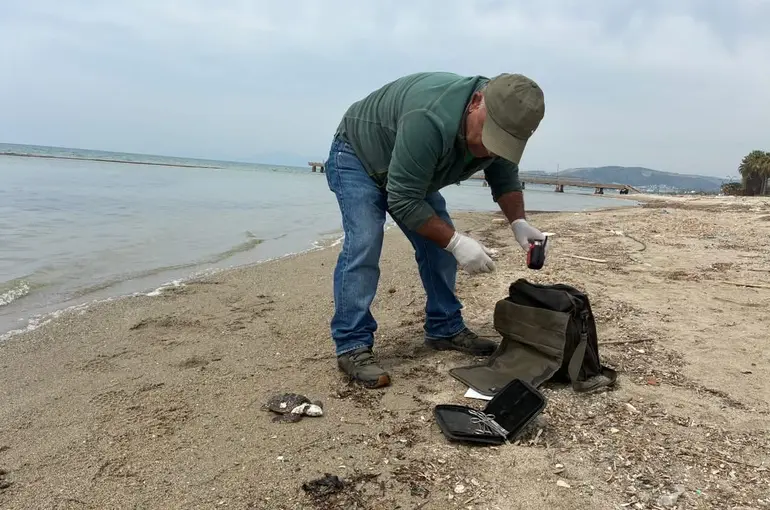 Kuşadası’nda iki deniz kaplumbağası ölü bulundu
