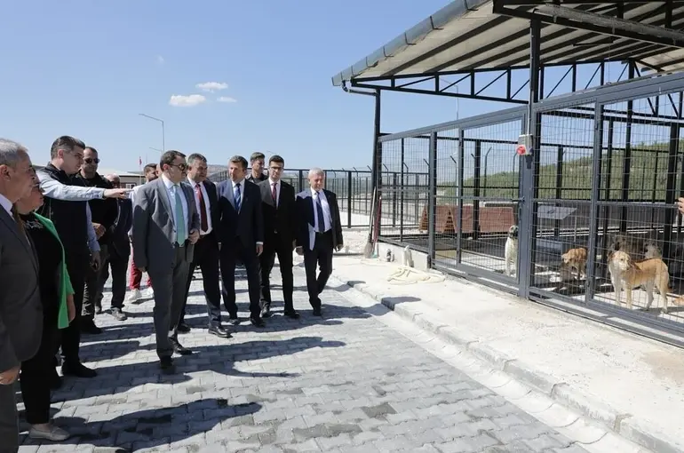 Kütahya Valisi Işın’dan Şaphane’de yapımı tamamlanan hayvan barınağında inceleme
