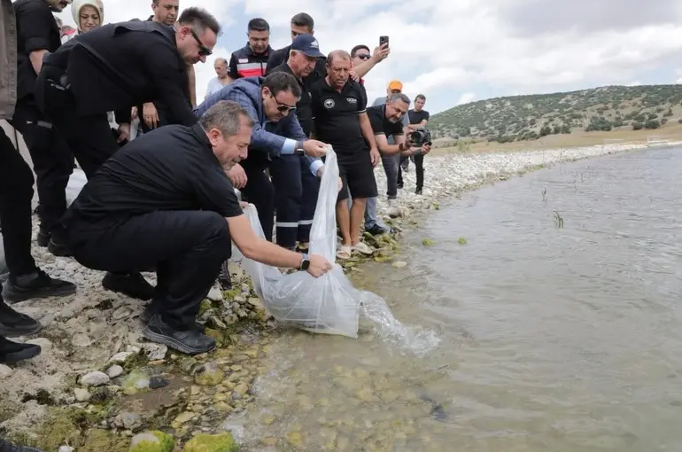Kütahya’da Porsuk Barajı Göleti’ne 107 bin 500 balık yavrusu bırakıldı

