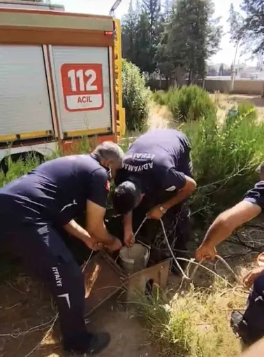 Kuyuya düşen yavru kediyi itfaiye kurtardı
