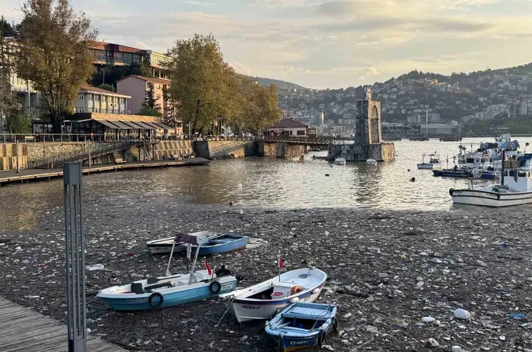 Limanda şaşırtan görüntü
