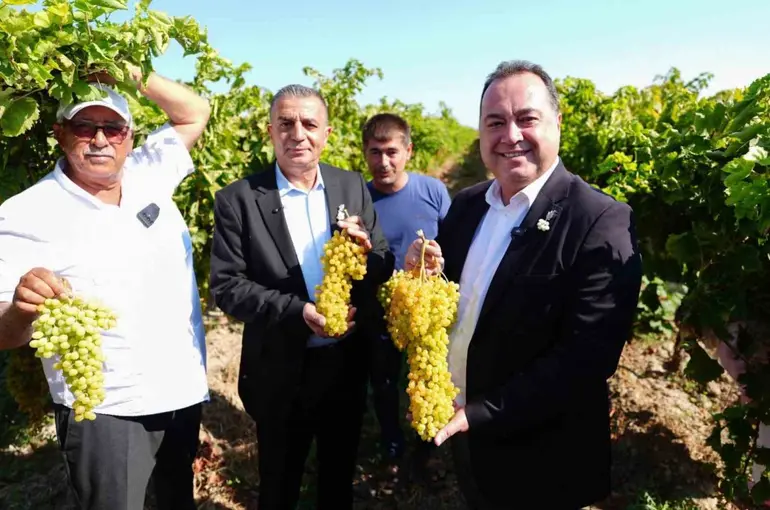 Manisa’da bağbozumu heyecanı başladı

