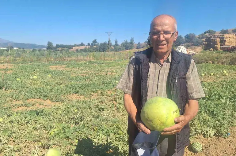 Manisalı çiftçi dede mirası ata tohumu karpuz geleneğini sürdürüyor
