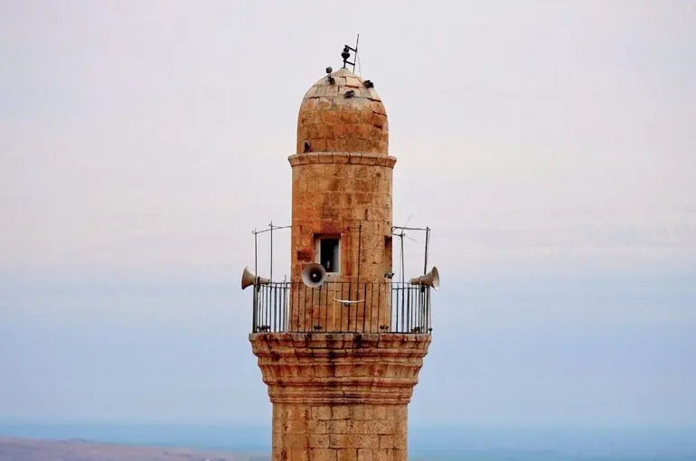 Mardin türküsünü işitme engelliler için işaret diliyle söylediler
