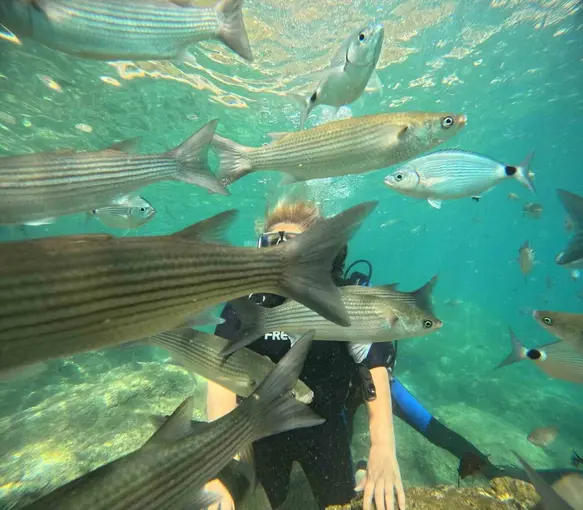 Marmaris’te dalış turizmine yoğun ilgi
