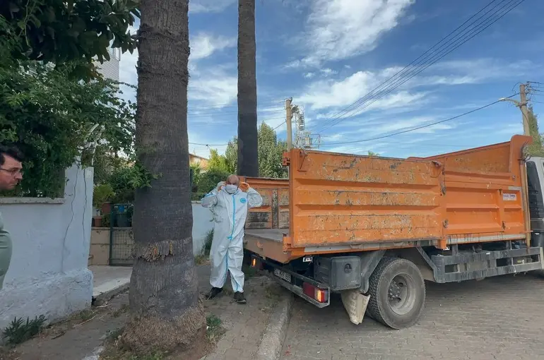 Marmaris’teki çöp evden bir kamyon çöp ve 30’a yakın kedi çıktı
