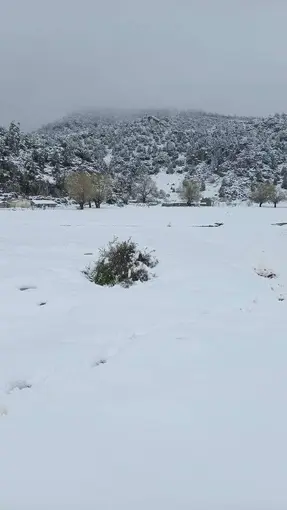 Mayıs ayında Konya! Kar kalınlığı 20 santim olarak ölçüldü
