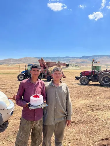 Mercimek tarlasında kavurucu sıcak altında doğum günü sürprizi
