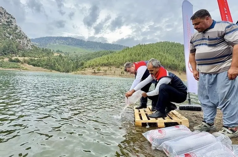 Mersin’de 17 göl ve gölete 347 bin yavru sazan bırakıldı
