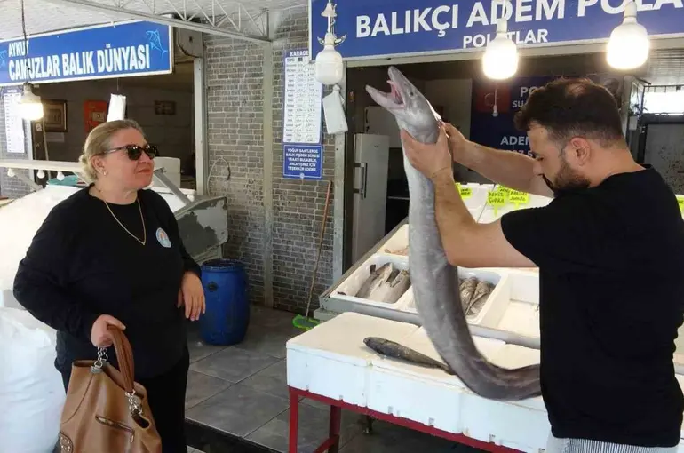 Mersin’de dev yılan balığı tezgahta ilgi odağı oldu
