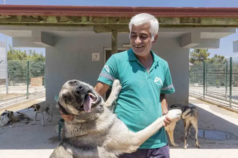 Mersin’de sahipsiz hayvanlar tedavi edilip sıcak yuvalarına kavuşuyor
