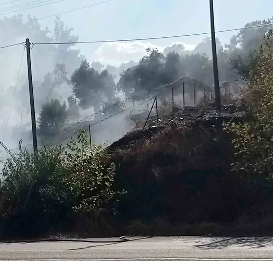 Milas-Söke karayolu üzerindeki yangın büyümeden söndürüldü
