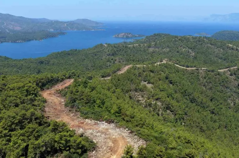 Muğla ve Aydın’da Orman yangın şerit yolu uzunluğu 2 bin kilometreye çıkıyor
