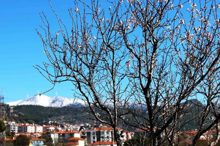 Muğla’da kış ve bahar aynı karede
