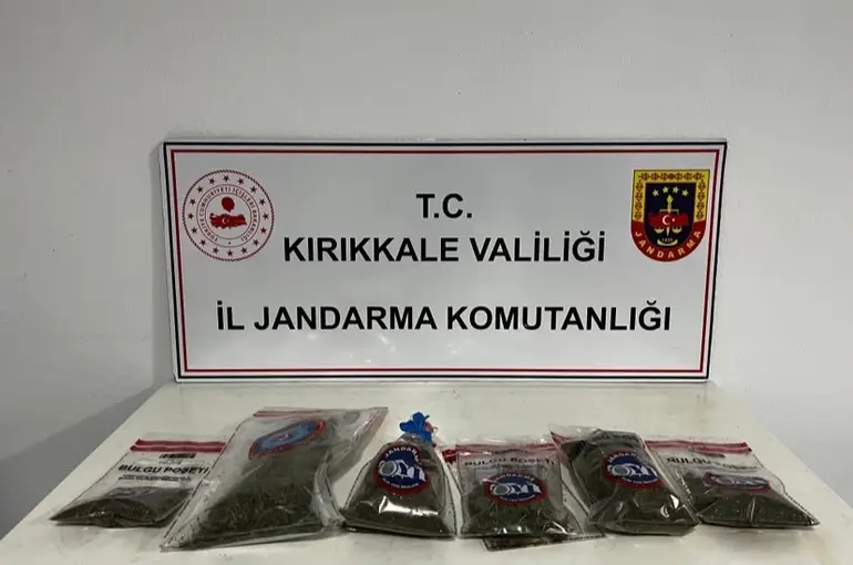 Narkotik köpeği "Evin" uyuşturucuyu tespit etti: Bahçede kenevir ve esrar ele geçirildi
