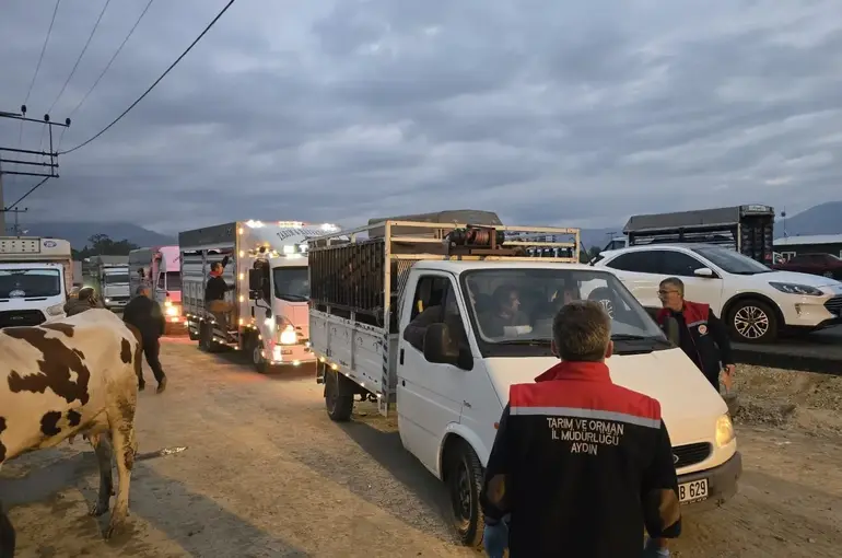 Nazilli Hayvan Pazarı açıldı, denetimler sıkılaştırıldı
