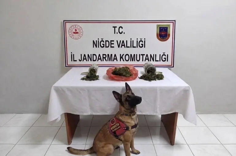 Niğde’de uyuşturucu operasyonu: 2 şüpheliye işlem yapıldı
