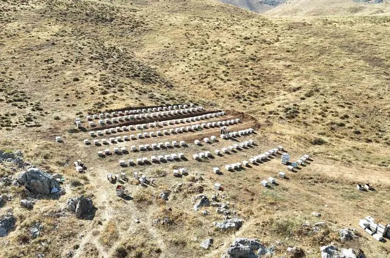 Nurhak’ın Tahtalı Yaylası’nda bal sağımı
