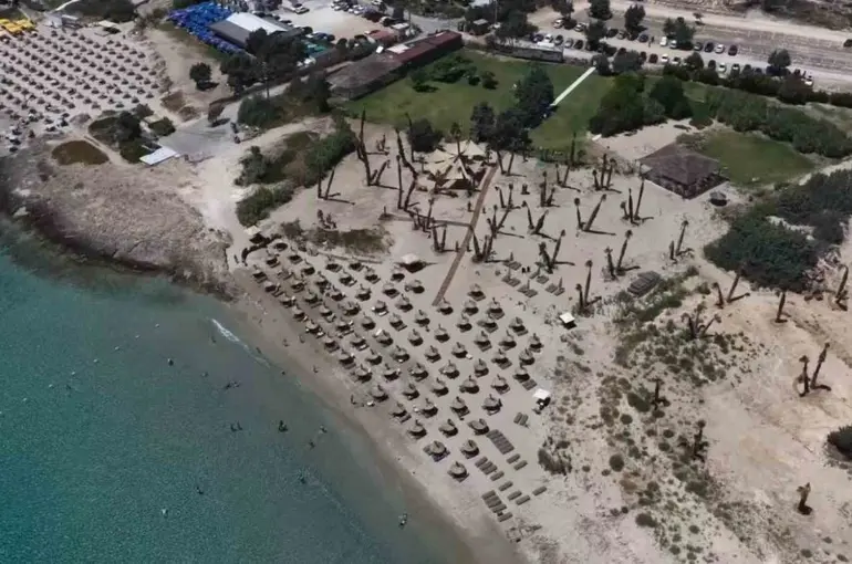 Önü plaj, arkası tarla: Organik plajda elektrik güneşten, ikramlar bahçeden
