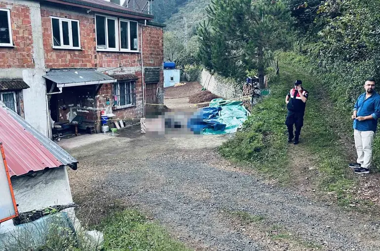 Ordu’da kardeşler arasındaki arazi ve yol kavgası kanlı bitti: 1 ölü, 1 yaralı
