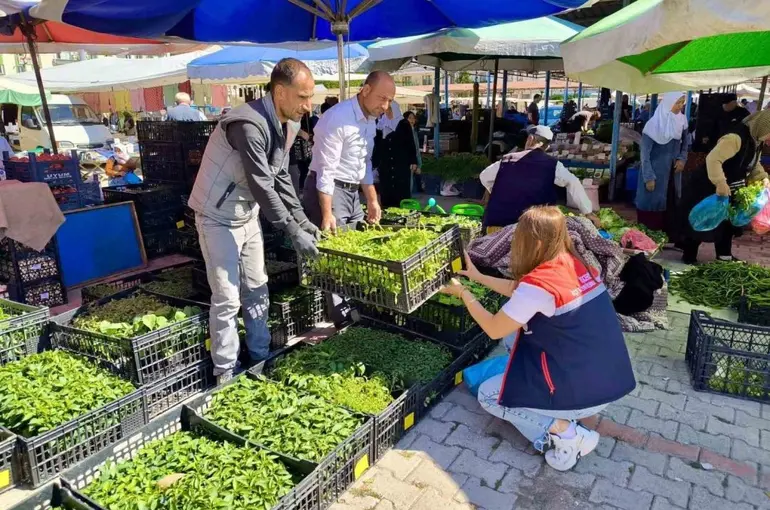 Pazarlarda satılan tohum ve fideler kontrol edildi
