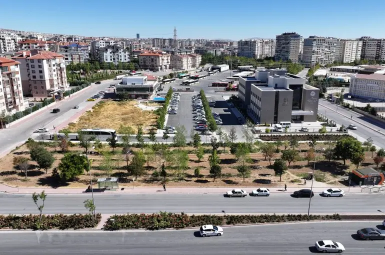 Raylı sistem çalışmaları nedeniyle sökülen ağaçlar yeniden toprakla buluşuyor