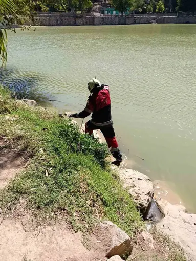 Reyhanlı’da göl kenarında görülen yılan yakalandı
