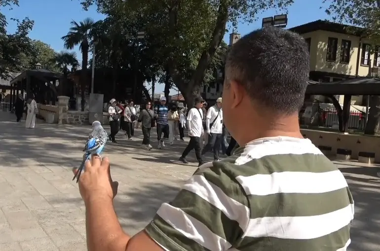 Sahibinin omzunda ve elinde çarşıyı geziyor
