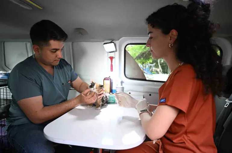 Sahipsiz sokak hayvanlarına ‘PATİVET’ şefkati

