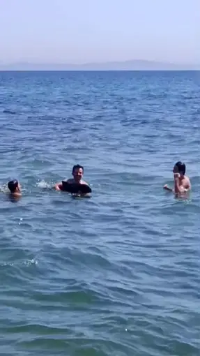 Şarköy’de denize girenlerin arasına yavru yunus daldı: Eğlenceli anlar kamerada
