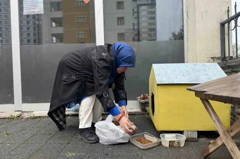 Şehir merkezine inen tilki kimseye aldırış etmeden karnını doyurdu
