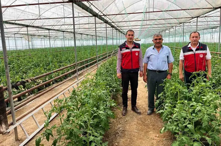Simav’da seracılık faaliyetleri yerinde incelendi
