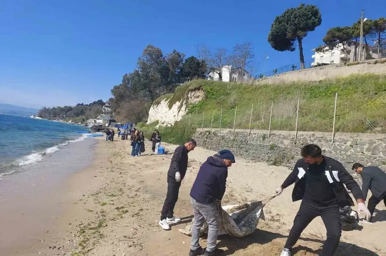 Sinop’ta sahil temizliği
